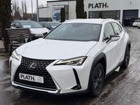 Gebraucht Lexus UX 250h Launch Edition 145 PS (106 kW) 2019 Weiß SUV