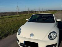 Gebraucht VW Beetle Sound 105 PS (77 kW) 2018 Weiß Kleinwagen