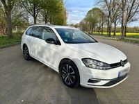 Gebraucht VW Golf VII IQ Drive 116 PS (85 kW) 2019 Weiß Kombi