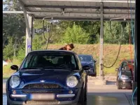 Brugt Mini Cooper 2002 Hatchback