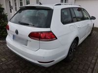 gebraucht VW Golf VII 