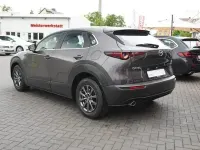 Gebraucht Mazda CX-30 Selection 150 PS (110 kW) 2020 Grau SUV