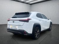 Gebraucht Lexus UX 250h Sport Line 184 PS (135 kW) 2023 Weiß SUV