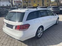 Gebraucht Mercedes E250 204 PS (150 kW) 2014 Weiß Kombi