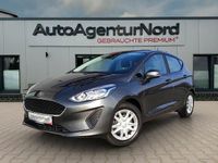 Gebraucht Ford Fiesta Trend 71 PS (52 kW) 2019 Grau Kleinwagen