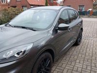 Gebraucht Ford Kuga ST-Line 150 PS (110 kW) 2020 SUV