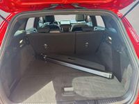 Gebraucht Ford Focus ST-Line 155 PS (114 kW) 2024 Rot Kombi