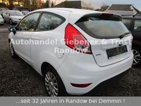 Gebraucht Ford Fiesta Trend 92 PS (67 kW) 2017 Weiß Kleinwagen