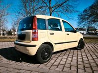 Używany Fiat Panda 60 KM (44 kW) 2009 Żółty Hatchback