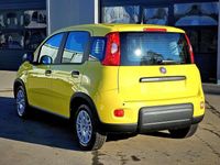 Gebraucht Fiat Panda 69 PS (50 kW) 2024 Gelb Kleinwagen