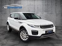Gebraucht Land Rover Range Rover evoque 150 PS (110 kW) 2019 Weiß SUV