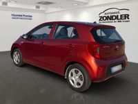 Gebraucht Kia Picanto Edition 7 84 PS (61 kW) 2020 Orange Kleinwagen