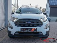 Gebraucht Ford Ecosport Active 125 PS (91 kW) 2023 Weiß SUV