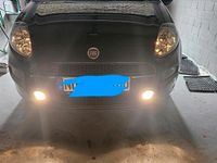 Gebraucht Fiat Punto 65 PS (47 kW) 2015 Kleinwagen