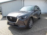 Gebraucht Mazda CX-60 Exclusive-Line 254 PS (186 kW) 2024 SUV