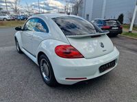 gebraucht VW Beetle  Design BMT Klima SHZ PDC 1Hand Neu Tuv