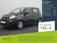 Gebraucht Fiat Panda Icon 65 PS (47 kW) 2025 Onyxschwarz Kleinwagen