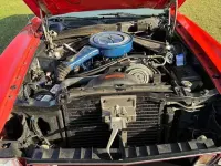 Gebraucht Ford Mustang 241 PS (177 kW) 1973 Rot Cabrio