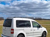 Gebraucht VW Caddy Edition 102 PS (75 kW) 2015 Weiß Van / Kleinbus