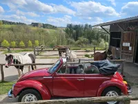 Gebraucht VW Käfer 50 PS (36 kW) 1973 Rot Cabrio