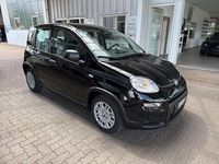Gebraucht Fiat Panda 69 PS (50 kW) 2024 Schwarz Kleinwagen