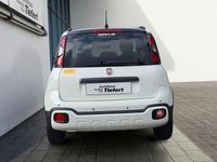 Gebraucht Fiat Panda 69 PS (50 kW) 2024 Gelato weiss Kleinwagen