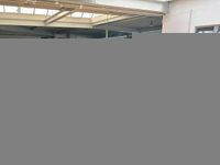 Gebraucht Ford Focus ST-Line X 155 PS (114 kW) 2024 Blau Limousine