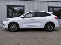 Gebraucht Ford Kuga ST-Line 224 PS (164 kW) 2023 Frozen white (weiß) SUV