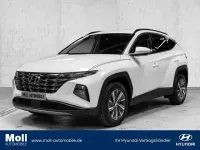 Gebraucht Hyundai Tucson Trend 230 PS (169 kW) 2024 Atlas white / sol SUV