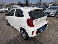 Gebraucht Kia Picanto Edition 7 67 PS (49 kW) 2021 Weiß Kleinwagen