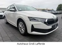 Gebraucht Skoda Octavia Essence 116 PS (85 kW) 2025 Weiß Kombi