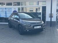 gebraucht Citroën C4 Cactus Shine "Automatik"