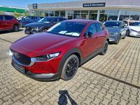 Gebraucht Mazda CX-30 Homura-Line 122 PS (89 kW) 2024 Rot SUV