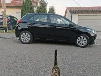 Gebraucht Hyundai i20 Active 84 PS (61 kW) 2017 Schwarz Kleinwagen