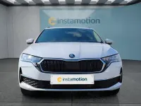 Neu Skoda Octavia 150 PS (110 kW) 2025 Weiß Kombi