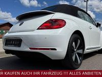 Gebraucht VW Beetle Cabriolet Design 140 PS (102 kW) 2014 Weiß Cabrio