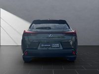 Gebraucht Lexus UX 250h 184 PS (135 kW) 2023 Terrane khaki SUV