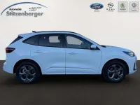 Neu Ford Kuga ST-Line 186 PS (136 kW) 2025 Frostweiß SUV