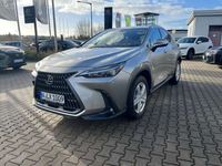 gebraucht Lexus NX350h E-Four Executive Line HUD, Kamera, Navi