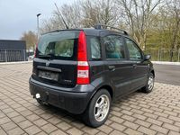 Gebraucht Fiat Panda Dynamic 60 PS (44 kW) 2004 Schwarz Kleinwagen
