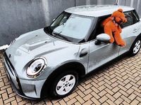 Gebraucht Mini Cooper Essential 136 PS (100 kW) 2022 Grau Kleinwagen