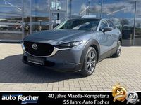 Gebraucht Mazda CX-30 Selection 186 PS (136 kW) 2022 Grau SUV