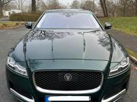 Gebraucht Jaguar XF 300 PS (220 kW) 2016 Andere farben Limousine