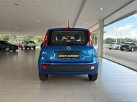Neu Fiat Panda 69 PS (50 kW) 2025 Blau Kleinwagen
