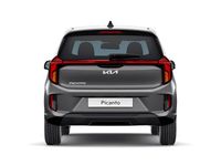 Gebraucht Kia Picanto Vision 63 PS (46 kW) 2024 Kleinwagen