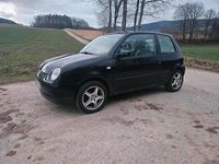 Gebraucht VW Lupo 50 PS (36 kW) 2000 Schwarz Kleinwagen