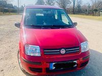 Gebraucht Fiat Panda 60 PS (44 kW) 2009 Rot Kleinwagen