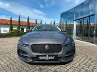 gebraucht Jaguar XE P250 S LED|Kamera|DAB+