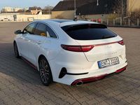 Gebraucht Kia ProCeed GT 204 PS (150 kW) 2023 Weiß Kombi