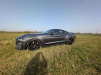 Gebraucht Ford Mustang GT Fastback 450 PS (330 kW) 2020 Grau Coupé
